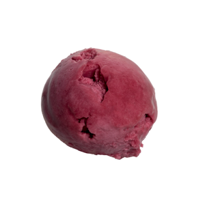 Solbær Sorbet - Ryå Is - 5 Liter